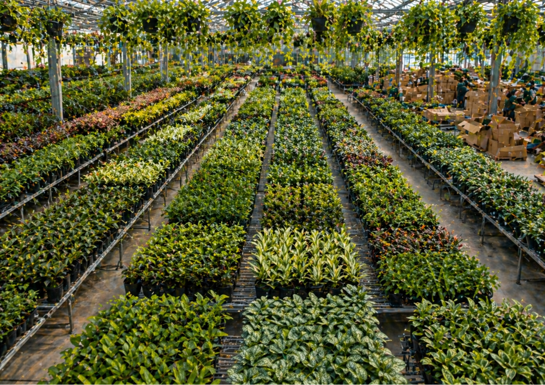 Bulk Plants